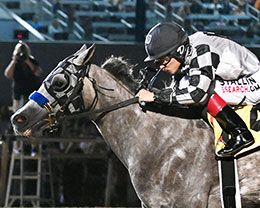 Seis Chilitos winning the $69,090 Sam Houston Juvenile Stakes at Sam Houston Race Park.