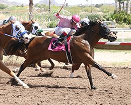 La Panama West, piloted by Manuel Garcia, wins the $40,000 Mark T Bars Stakes at Turf Paradise on Thursday.