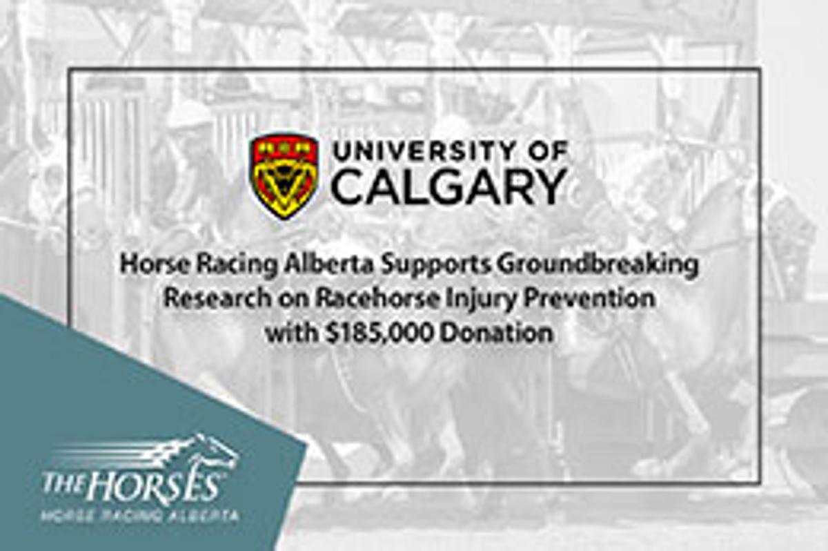 The Horses / Horse Racing Alberta