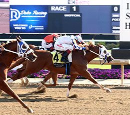 Mr Booombastic, under jockey Martin Munoz, winning the opening trial on Saturday.