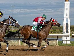 Coady Photography Ltd.