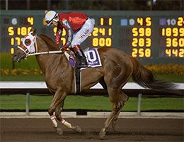 Up To Party and jockey Armando Cervantes return after winning the PCQHRA Breeders' Futurity on Sunday night.