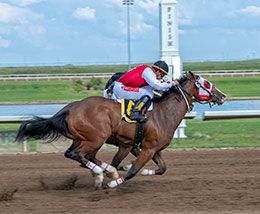 Snow Boss (#6) gets up over One Tough Cerveza (#1) in the second trial today.