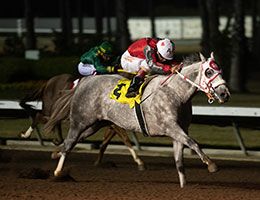 Outtasyght, under jockey Armando Cervantes, posting the second fastest time in the second trial Sunday night.