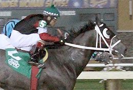 Beach Cartel was Escondido Beach's leading money earner with 16 wins and $439,996.