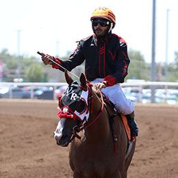 Ernesto Salinas, Jr.  / StallioneSearch