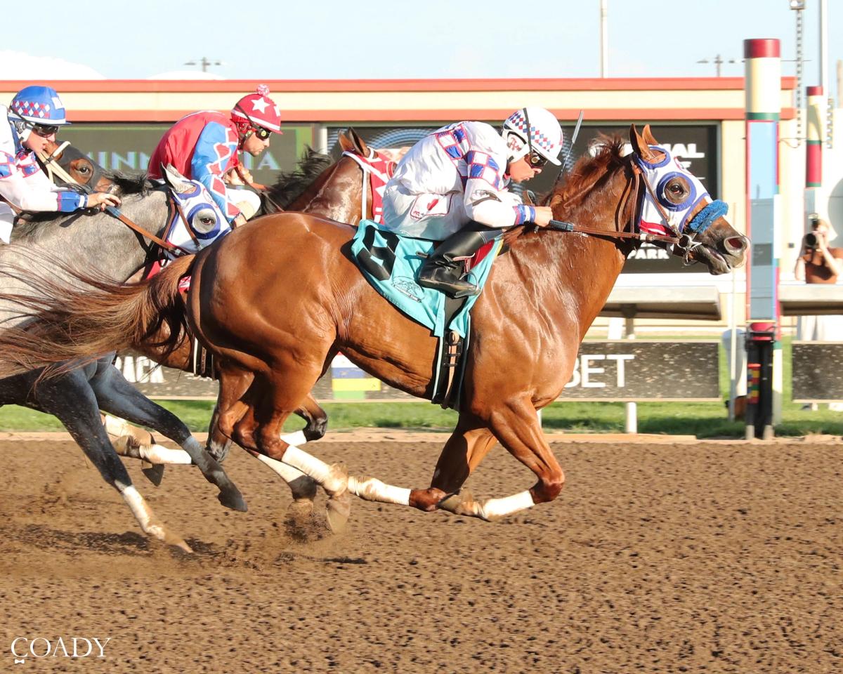 Spicy Cartel Scores First Stakes Victory in Minnesota Quarter Horse Derby