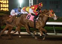 Clanfield Act Stables’ Favorite Semental won the second trial.