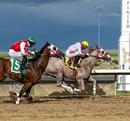 Coady Photography Ltd.