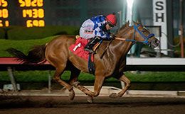 Kickin Famous, under jockey Irving Lara, winning the opening Golden State Derby trial Saturday night.