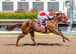 Toxic Dynasty, under jockey Gilberto Linares, winning the trial 3 on day 1.