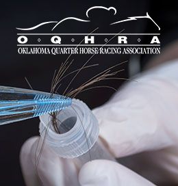 It's it's continued support to expand the use of hair testing, the Oklahoma Quarter Horse Racing Association has confirmed the detection of Olodaterol through pre-entry hair testing protocols. 