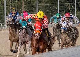 Explosive Legend, a multiple stakes winner in 2025, was honored as LQHBA Distance Horse of the Year. (Shown winning the Live Oaks Stakes at Delta Downs)