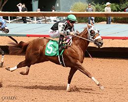 Rock Star Martini, under jockey Jesse Levario, won the trial 12 today at Ruidoso Downs.