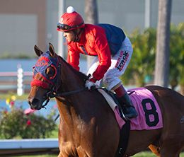 Los Alamitos