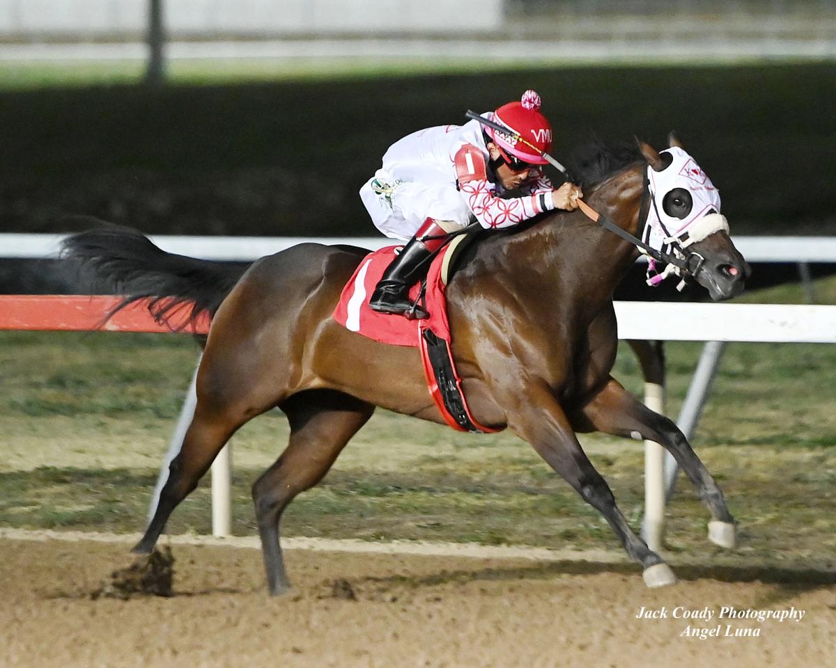 Shes Ec To Tempt Dominates $100,000 TQHA Sires' Cup Derby-RG3