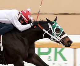 Dustin Orona Photography/Remington Park