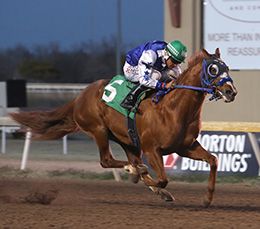 Fastest qualifier Aj Remember Me, a $120,000 Heritage Place graduate by Apollitical Jess, brings a consistent eight-race résumé into the Grade 3 Oklahoma Derby.