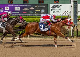 Francisco Calderon aboard Blue Eyed Fance for the win in the 2017 Mardi Gras Futurity.