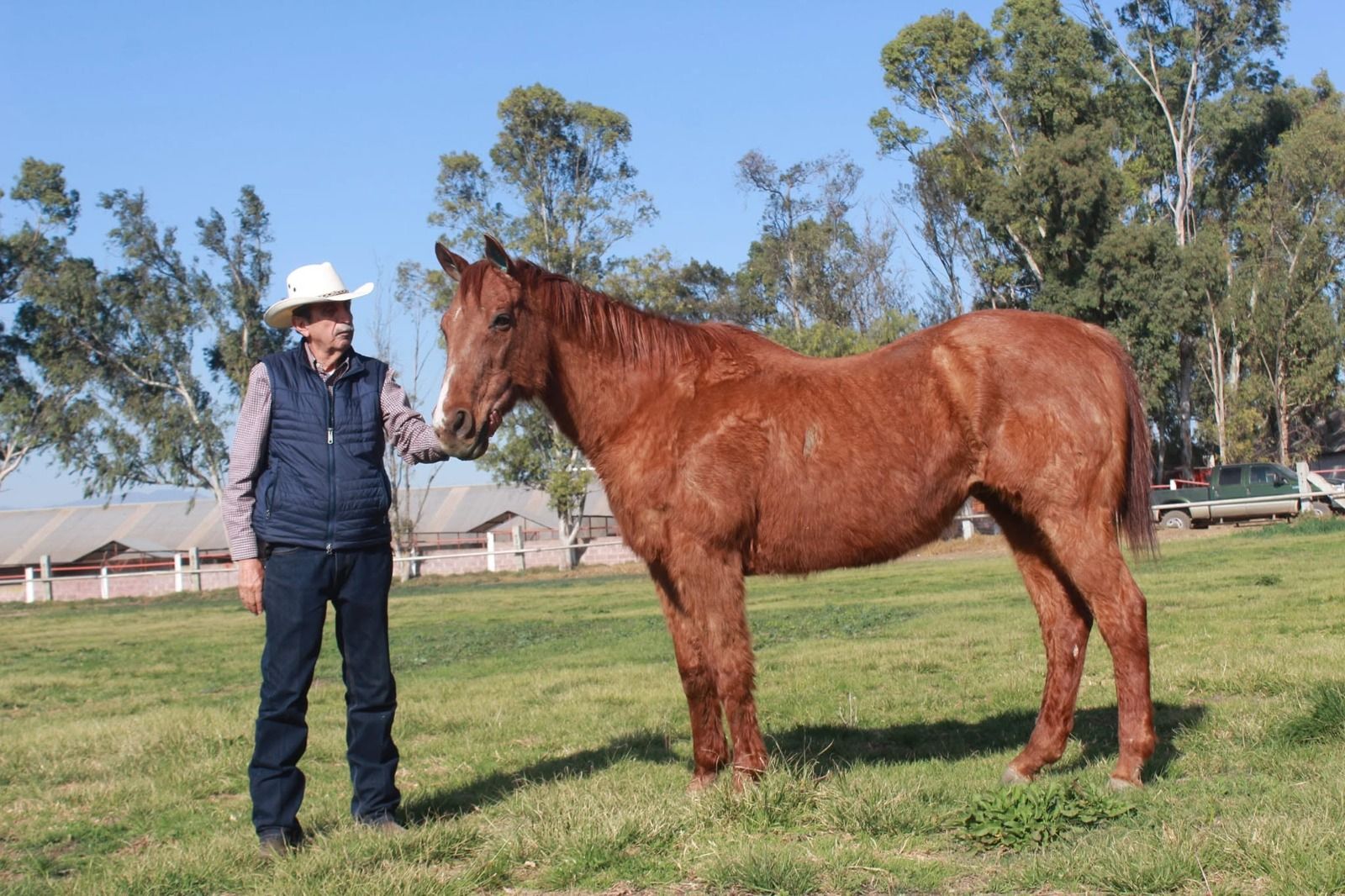Champion Shake The Bank Dies at 33, Leaving a Lasting Legacy Across Two Borders