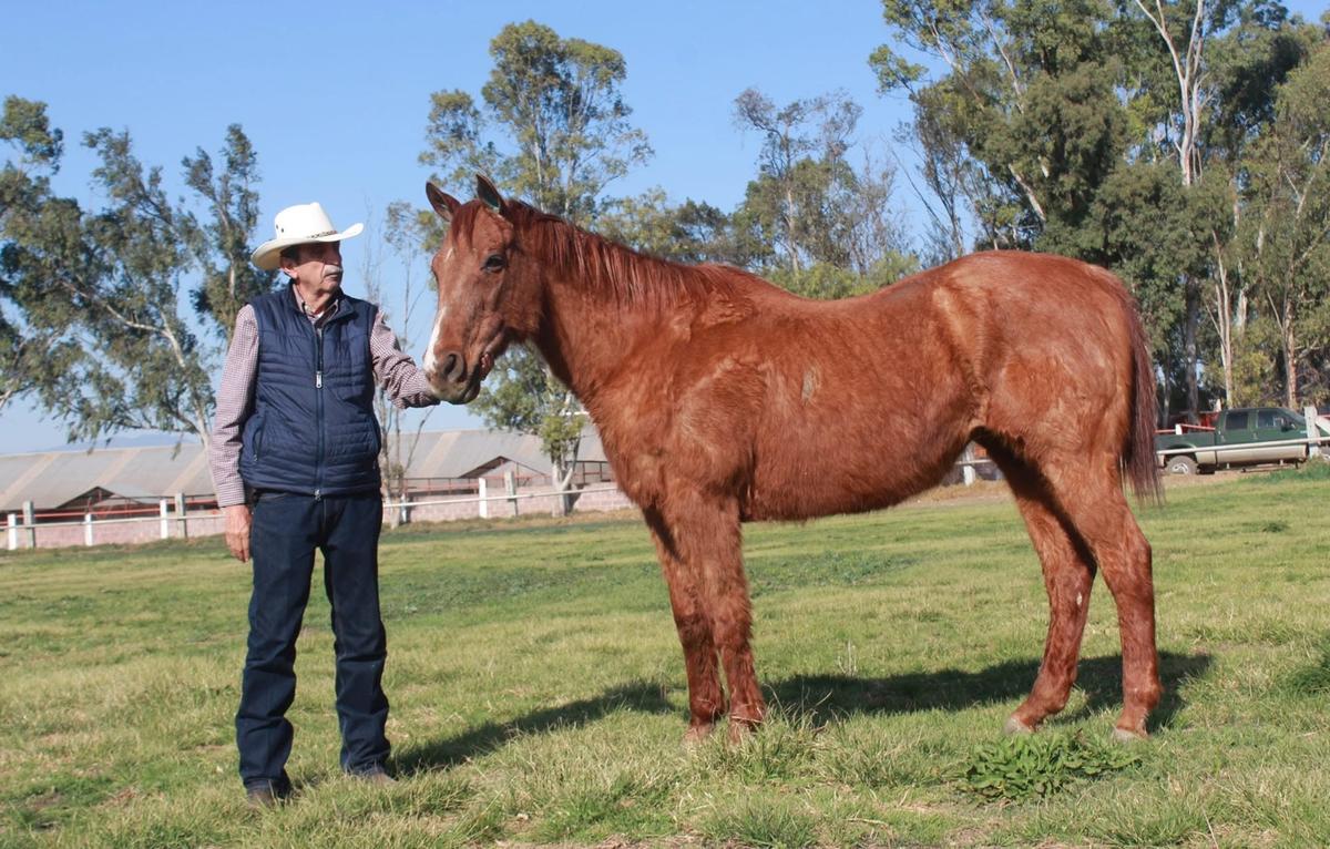 Champion Shake The Bank Dies at 33, Leaving a Lasting Legacy Across Two Borders
