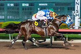 Brother Ray (#6) holds off Next Norco (#2) in the fifth trial on Saturday.