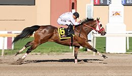Dustin Orona Photography/Remington Park