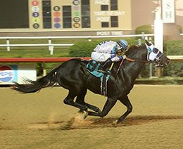 Curls Magic Wagon, under jockey Ali Rivera, posted the second fastest time in the ninth trial Friday night.