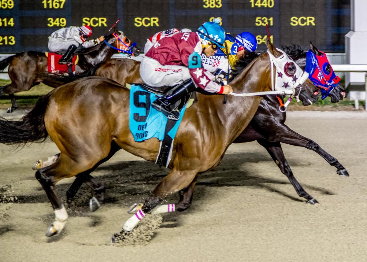 Runnning With Faith Earns First Stakes Victory In Audubon Stakes