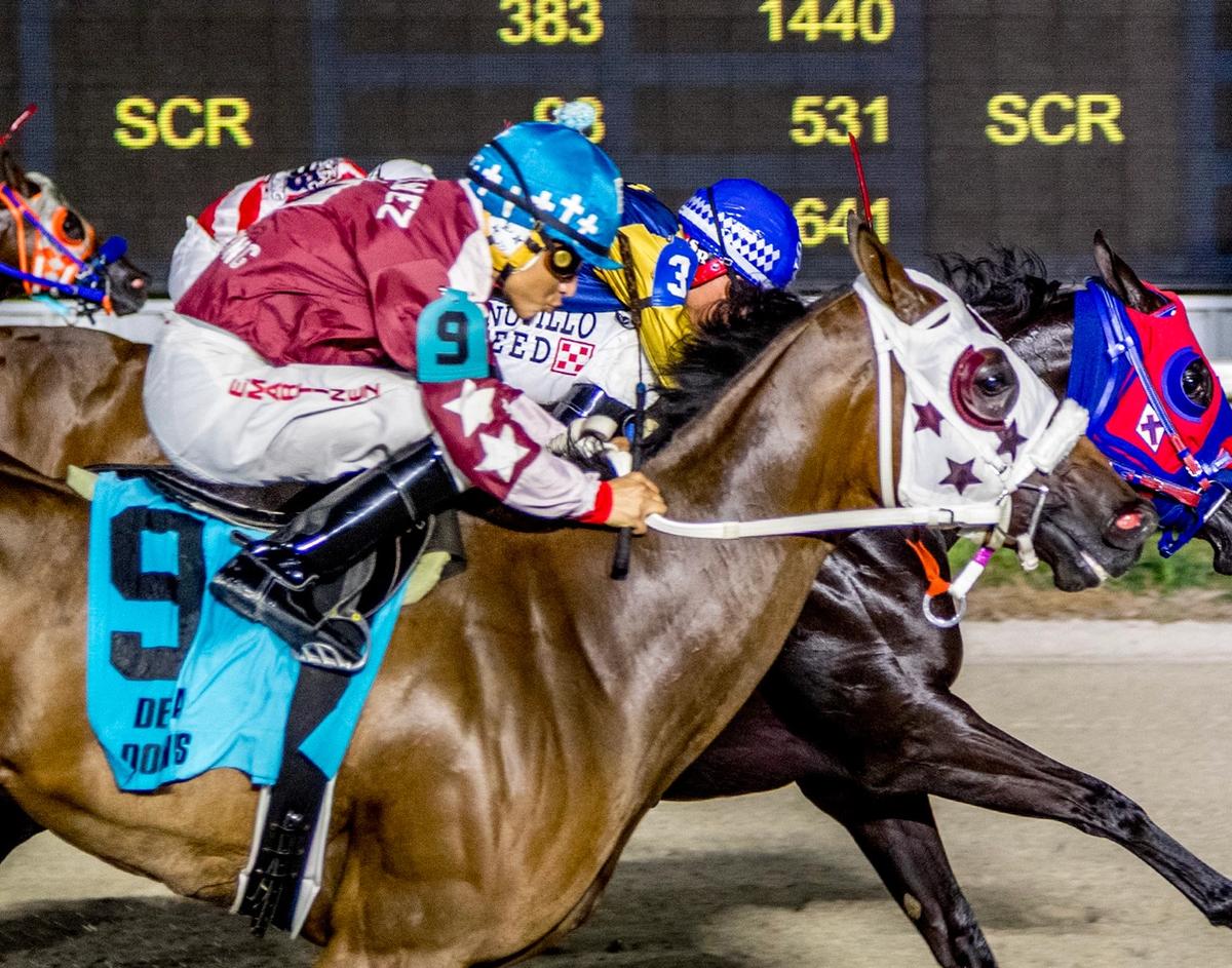 Louisiana-Bred Fillies & Mares Set For Amelia Belle Stakes Showdown At Evangeline Downs