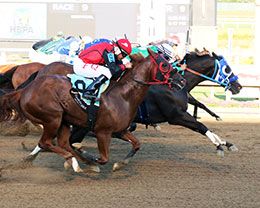 Wrs Mynameisrip (#7) holds off Ap Political Patriot (#9) and Zoomin Feature (#1) in the opening trial.