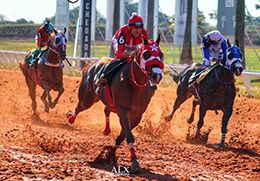 Fantastic Wagon CFR, a 2022 colt out of Imperatriz Wagon MV, who won his debut earlier this year at Sorocaba.