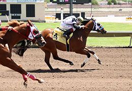 Envestor and jockey Ali Rivera got the final qualifying spot on Monday after winning Trial 4.