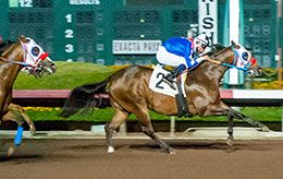 Born In The Blood and jockey Armando Viramontes winning the second trial.