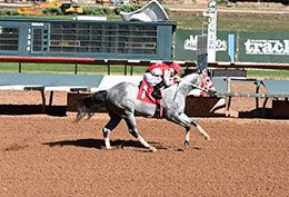 Shoeless and jockey Bryan Candanosa set the second fastest time in trial 11.