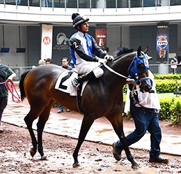 Kc Star Krash won the Garanones Futurity Consolation on Sunday.