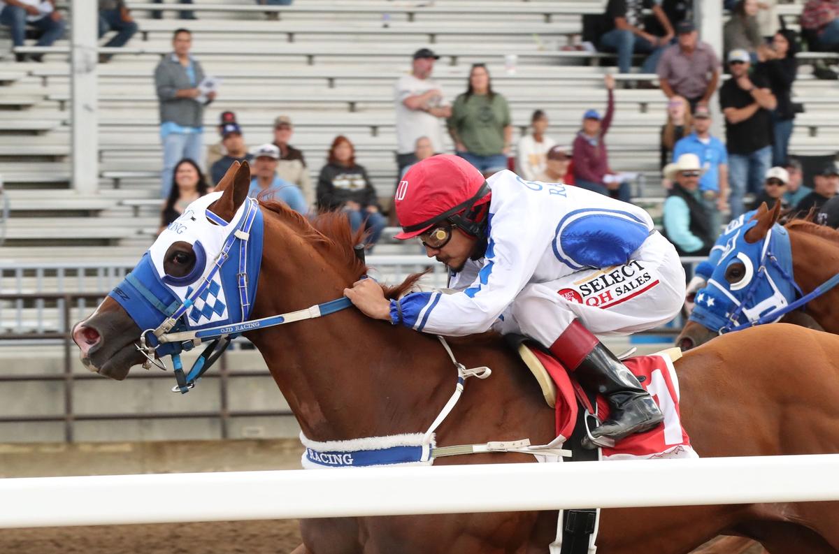 Ojd Tempt Me Not Dominates $300,000 Sweetwater Downs QH Futurity