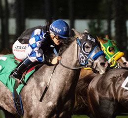 Los Alamitos