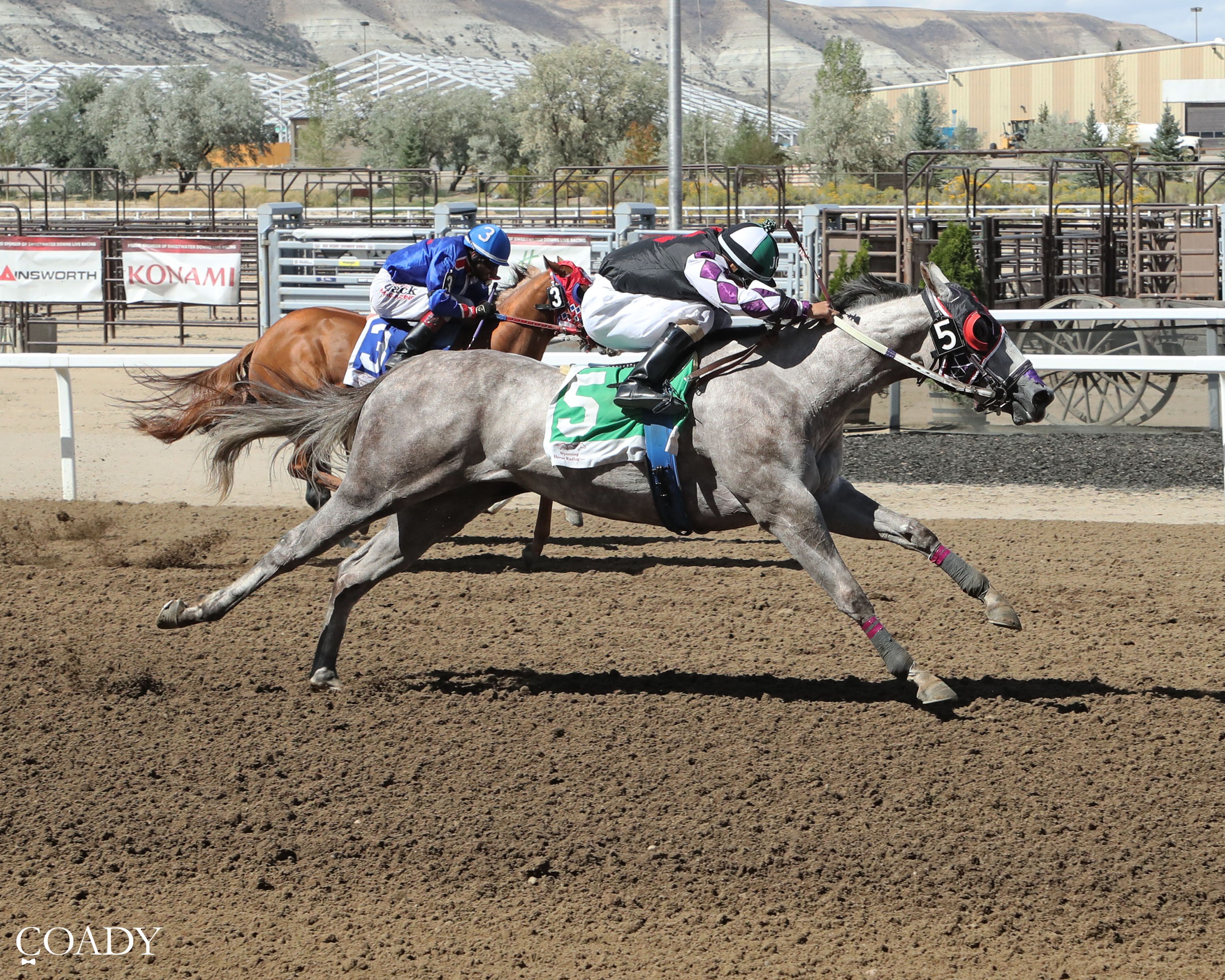 Mysterious Blues Tops Day 2 WABRA Wyoming Bred Futurity Trials