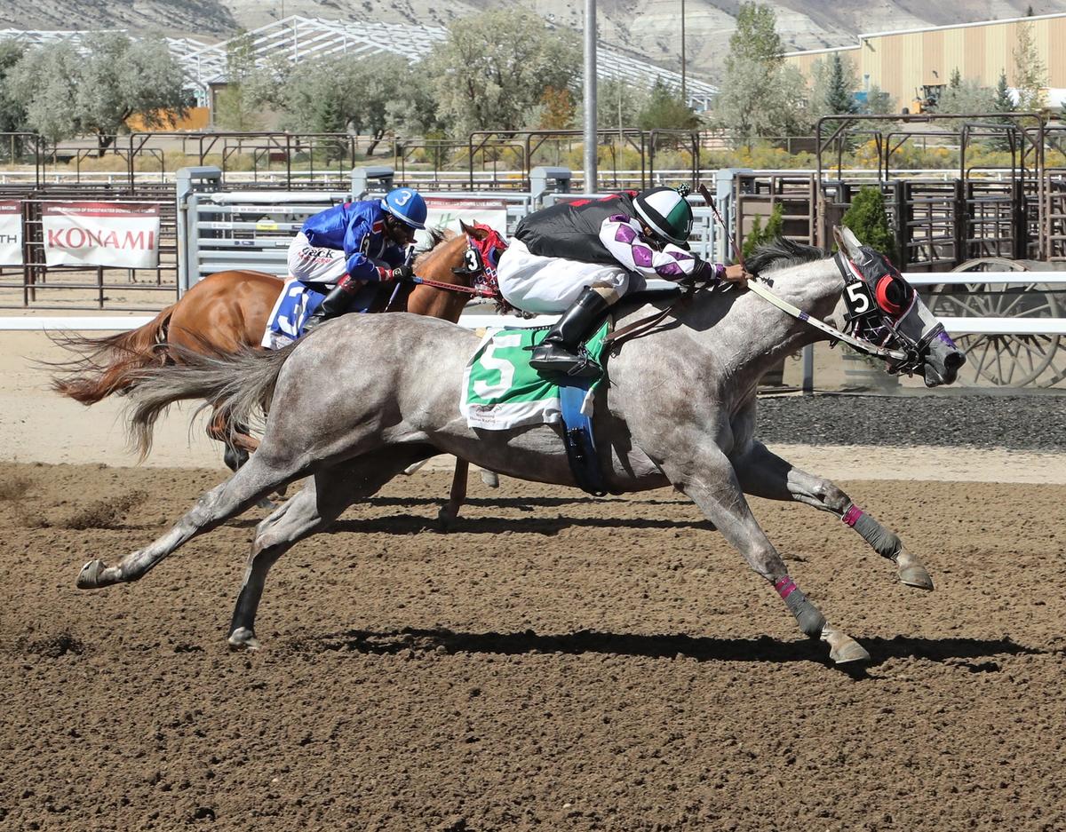 Mysterious Blues Tops Day 2 WABRA Wyoming Bred Futurity Trials