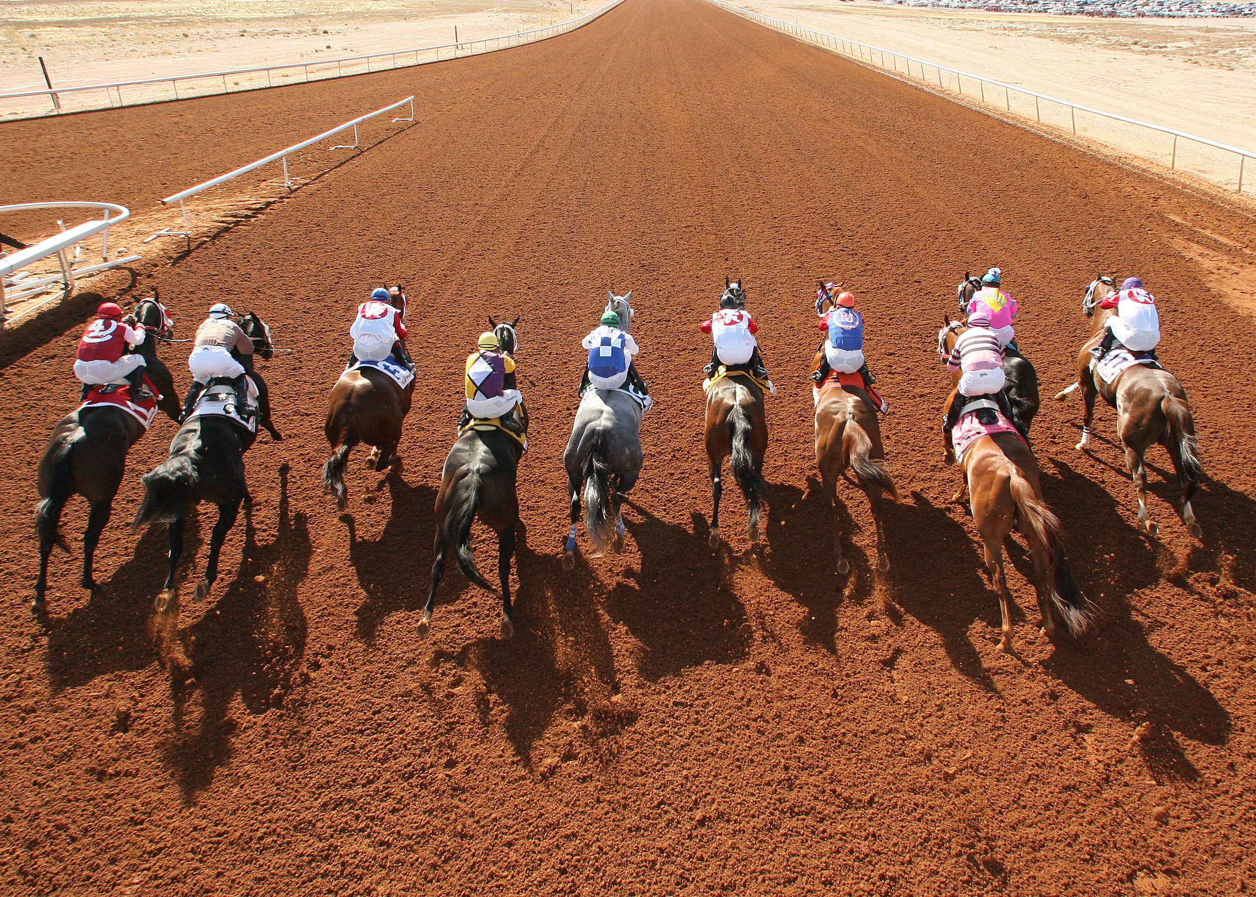Zia Park Sets Strong Quarter Horse Stakes Program for 2026 Fall Meet