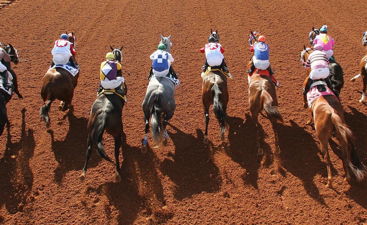 Zia Park Sets Strong Quarter Horse Stakes Program for 2026 Fall Meet