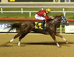 Hesa Princess Celina, under champion jockey Ricky Ramirez, set the sixth fastest time in the closing trial.