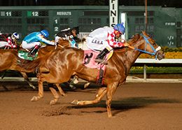 William Zuazo/Los Alamitos