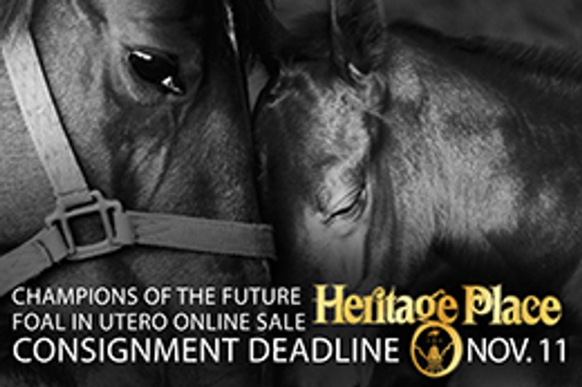 Consignments are November 11 for the Heritage Place "Champions of The Future" Foal in Utero Online Sale.

