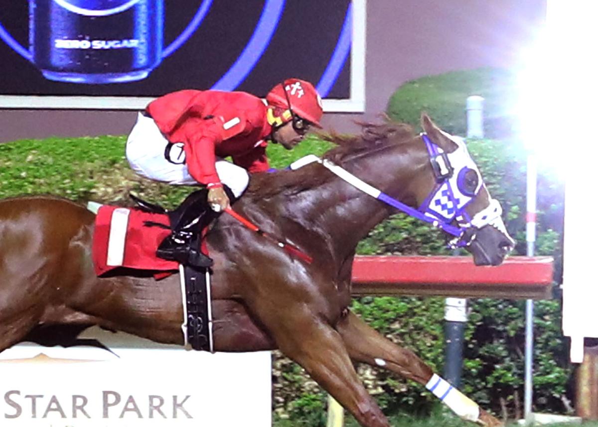 Dash for Cash Championship Night Brings Nearly $675,000 in Stakes Action To Lone Star Park