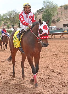 Space Cowwboyy and jockey Christian Ramos return to the Ruidoso QH Juvenile winner's circle on Sunday.