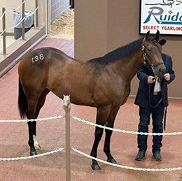 Jimmy Barton, Lance Bland, Scott Bryant, and Gary Cain paid $390,000 for Friday’s high-seller, Hip 136 Qs Shes A Hottie.