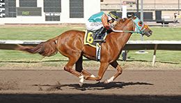Happy Flying Bird and jockey Gabriel Medrano win the 12th trial Friday at The Downs at Albuquerque to post the second fastest qualifying time.