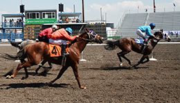 Cassia County Fair